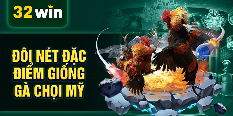 Đôi nét đặc điểm giống gà chọi Mỹ