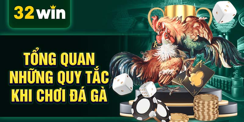 Tổng quan những quy tắc khi chơi đá gà